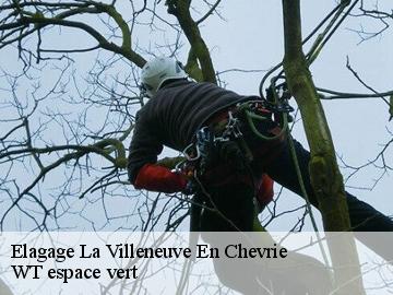 Elagage la-villeneuve-en-chevrie-78270 WT espace vert