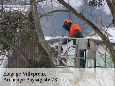 Elagage  villepreux-78450 Archange Paysagiste 78