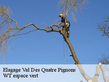 Elagage  val-des-quatre-pignons-78650 Archange Paysagiste 78