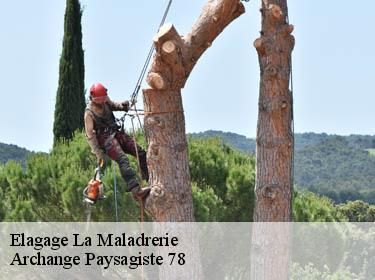 Elagage  la-maladrerie-78300 Archange Paysagiste 78