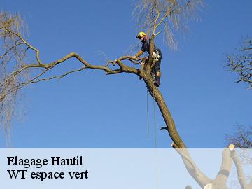 Elagage hautil-78510 Archange Paysagiste 78