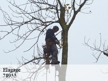 Elagage les-gresillons-78955 Archange Paysagiste 78
