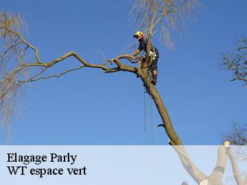 Elagage parly-78150 WT espace vert