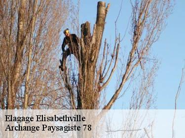 Elagage  elisabethville-78410 Archange Paysagiste 78