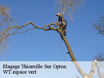 Elagage thionville-sur-opton-78550 WT espace vert