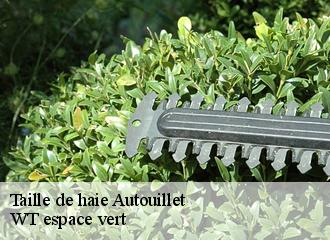 Taille de haie autouillet-78770 WT espace vert