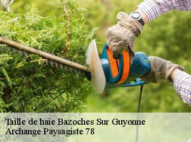 Taille de haie  bazoches-sur-guyonne-78490 Archange Paysagiste 78