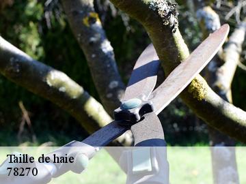 Taille de haie 78270