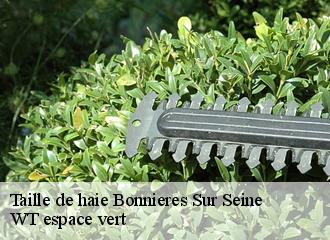 Taille de haie bonnieres-sur-seine-78270 WT espace vert