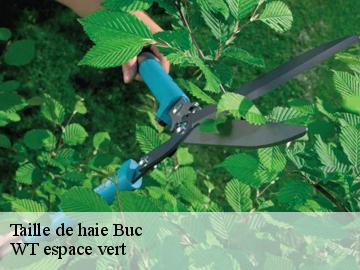 Taille de haie buc-78530 WT espace vert