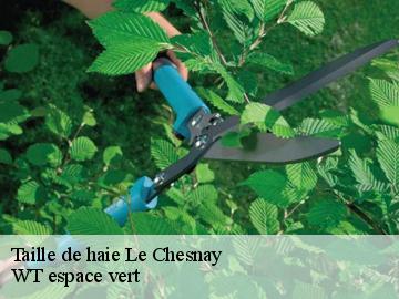 Taille de haie le-chesnay-78150 WT espace vert
