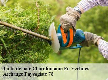 Taille de haie  clairefontaine-en-yvelines-78120 Archange Paysagiste 78