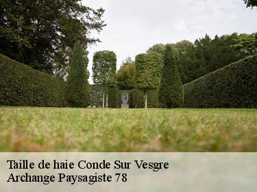 Taille de haie  conde-sur-vesgre-78113 Archange Paysagiste 78