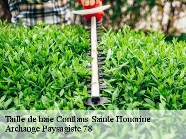 Taille de haie  conflans-sainte-honorine-78700 Archange Paysagiste 78