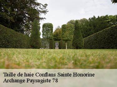 Taille de haie  conflans-sainte-honorine-78700 Archange Paysagiste 78