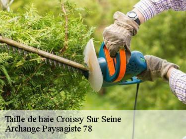 Taille de haie  croissy-sur-seine-78290 Archange Paysagiste 78