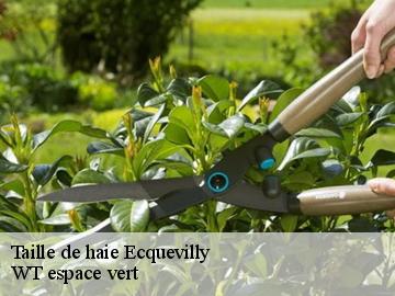 Taille de haie  ecquevilly-78920 Archange Paysagiste 78