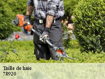 Taille de haie  ecquevilly-78920 Archange Paysagiste 78