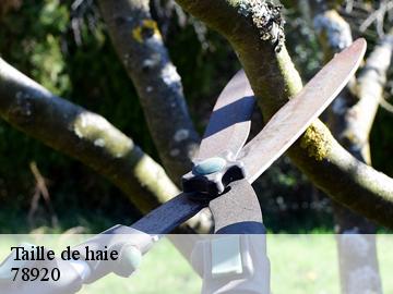 Taille de haie 78920