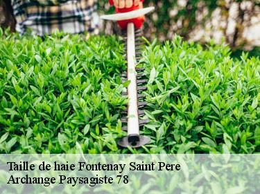 Taille de haie  fontenay-saint-pere-78440 Archange Paysagiste 78
