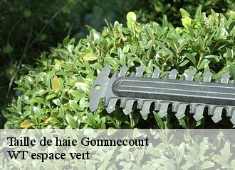 Taille de haie gommecourt-78270 WT espace vert
