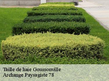 Taille de haie  goussonville-78930 Archange Paysagiste 78