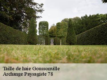 Taille de haie  goussonville-78930 Archange Paysagiste 78