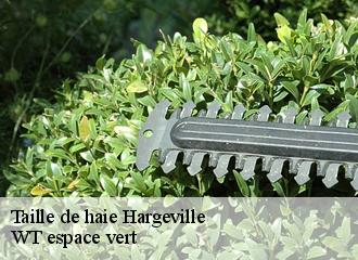 Taille de haie hargeville-78790 WT espace vert