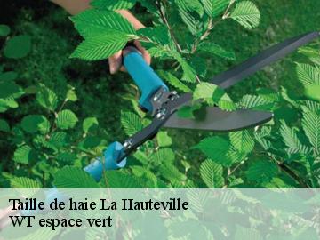 Taille de haie la-hauteville-78113 WT espace vert
