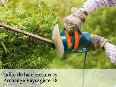 Taille de haie  hermeray-78125 Archange Elagage