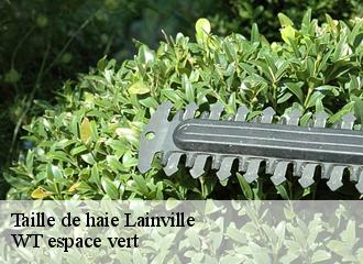 Taille de haie lainville-78440 WT espace vert