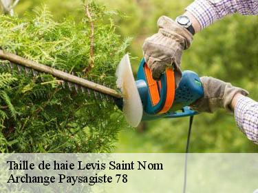 Taille de haie  levis-saint-nom-78320 Archange Paysagiste 78