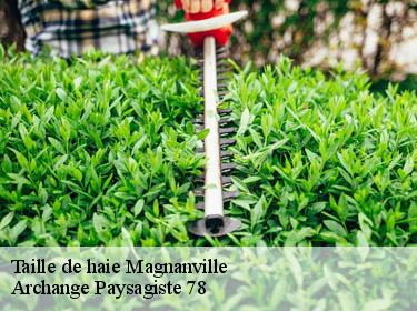 Taille de haie  magnanville-78200 Archange Paysagiste 78