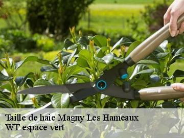 Taille de haie magny-les-hameaux-78114 WT espace vert