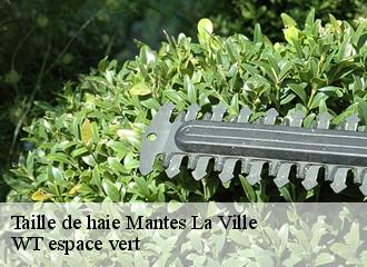 Taille de haie mantes-la-ville-78200 WT espace vert