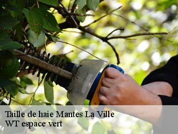 Taille de haie mantes-la-ville-78200 WT espace vert