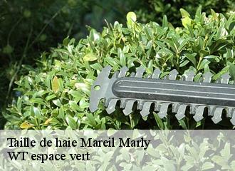 Taille de haie  mareil-marly-78750 Archange Paysagiste 78