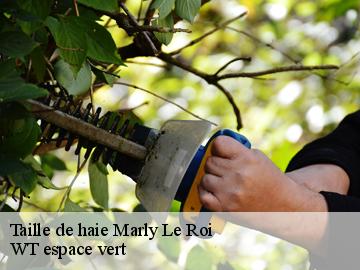 Taille de haie marly-le-roi-78160 WT espace vert