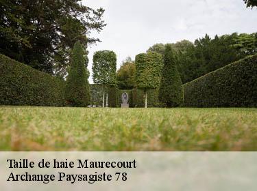 Taille de haie  maurecourt-78780 Archange Paysagiste 78