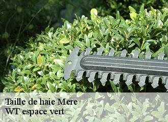 Taille de haie mere-78490 WT espace vert