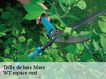 Taille de haie mere-78490 WT espace vert