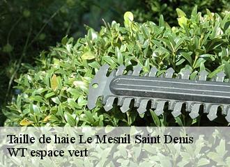 Taille de haie le-mesnil-saint-denis-78320 WT espace vert