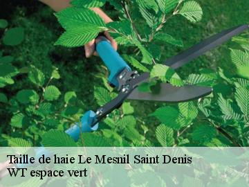 Taille de haie le-mesnil-saint-denis-78320 WT espace vert