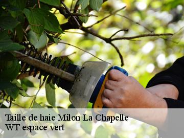 Taille de haie milon-la-chapelle-78470 WT espace vert