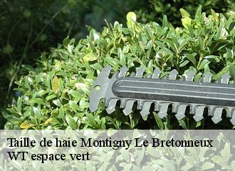 Taille de haie montigny-le-bretonneux-78180 WT espace vert