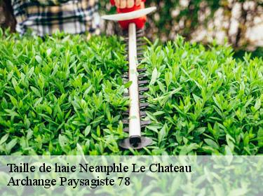Taille de haie  neauphle-le-chateau-78640 Archange Paysagiste 78