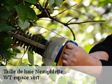 Taille de haie neauphlette-78980 WT espace vert