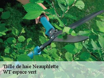 Taille de haie neauphlette-78980 WT espace vert