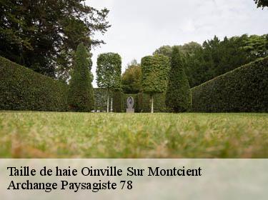 Taille de haie  oinville-sur-montcient-78250 Archange Paysagiste 78