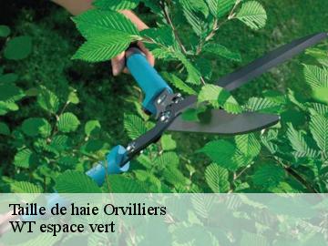 Taille de haie orvilliers-78910 WT espace vert